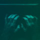 Dark Data in the Procure-to-Pay process | TAG Inc | The Audit Group